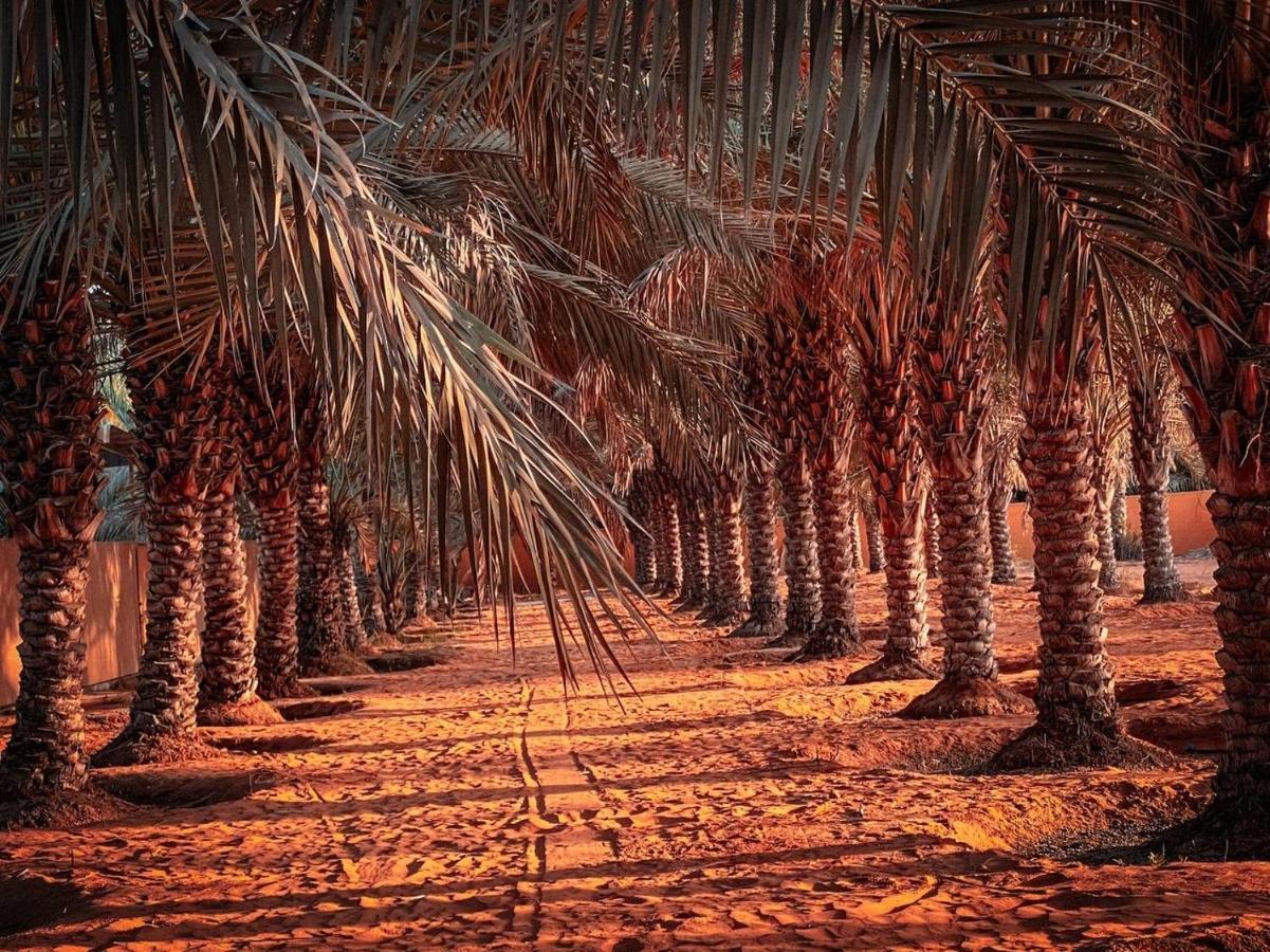 Palm Escape - By Seven Elements * Ras al-Khaimah