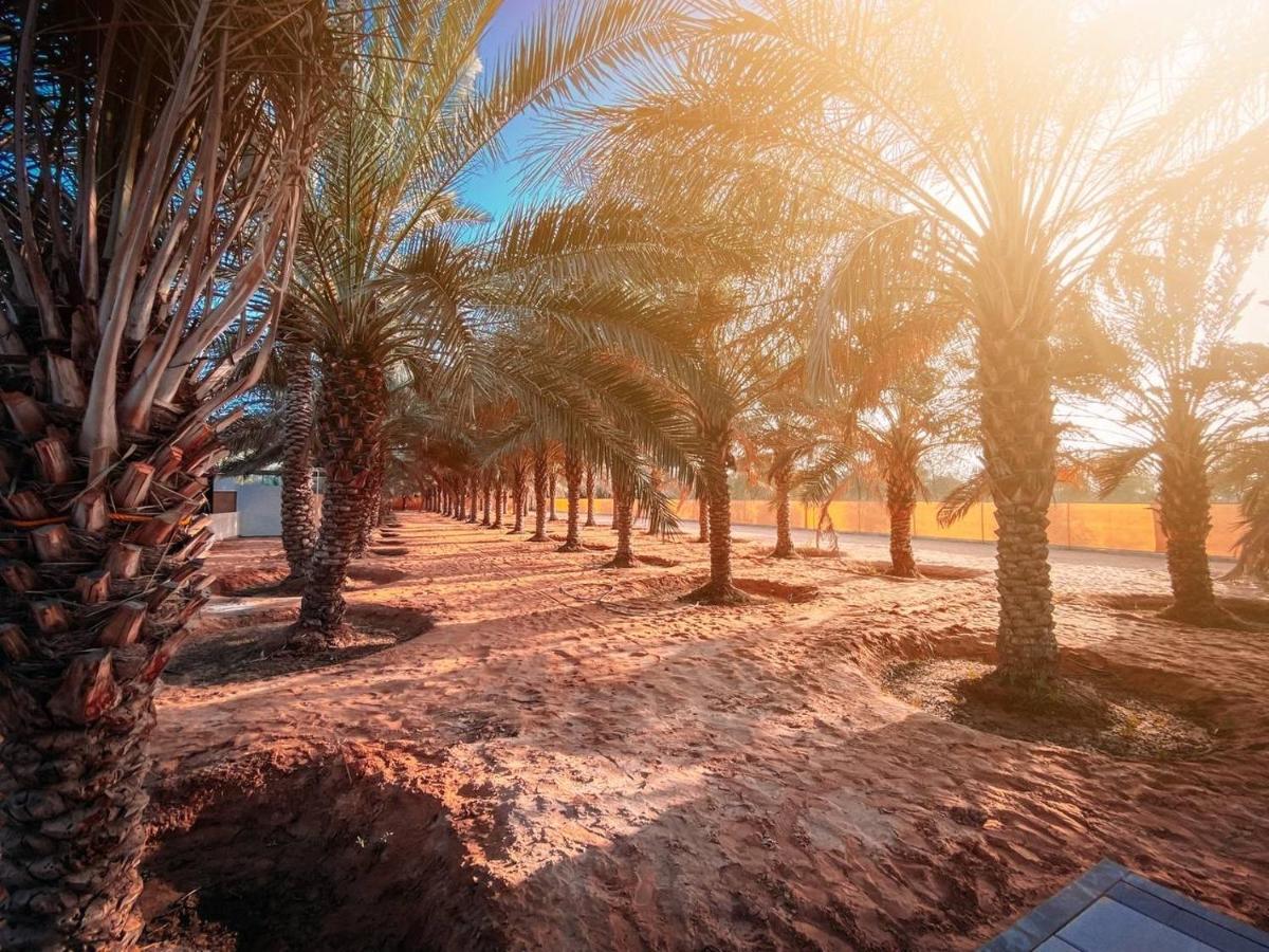 Palm Escape - By Seven Elements * Ras al-Khaimah